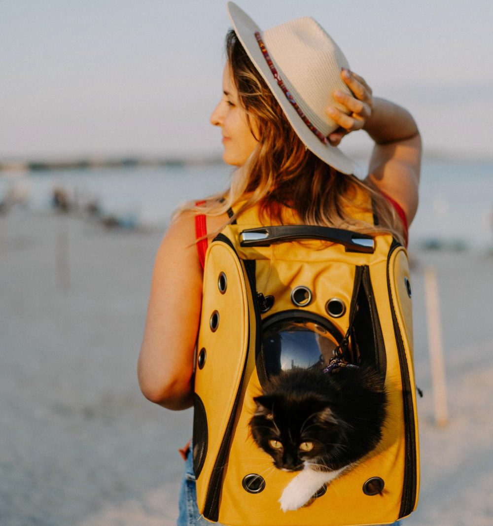 traveling with pets tips