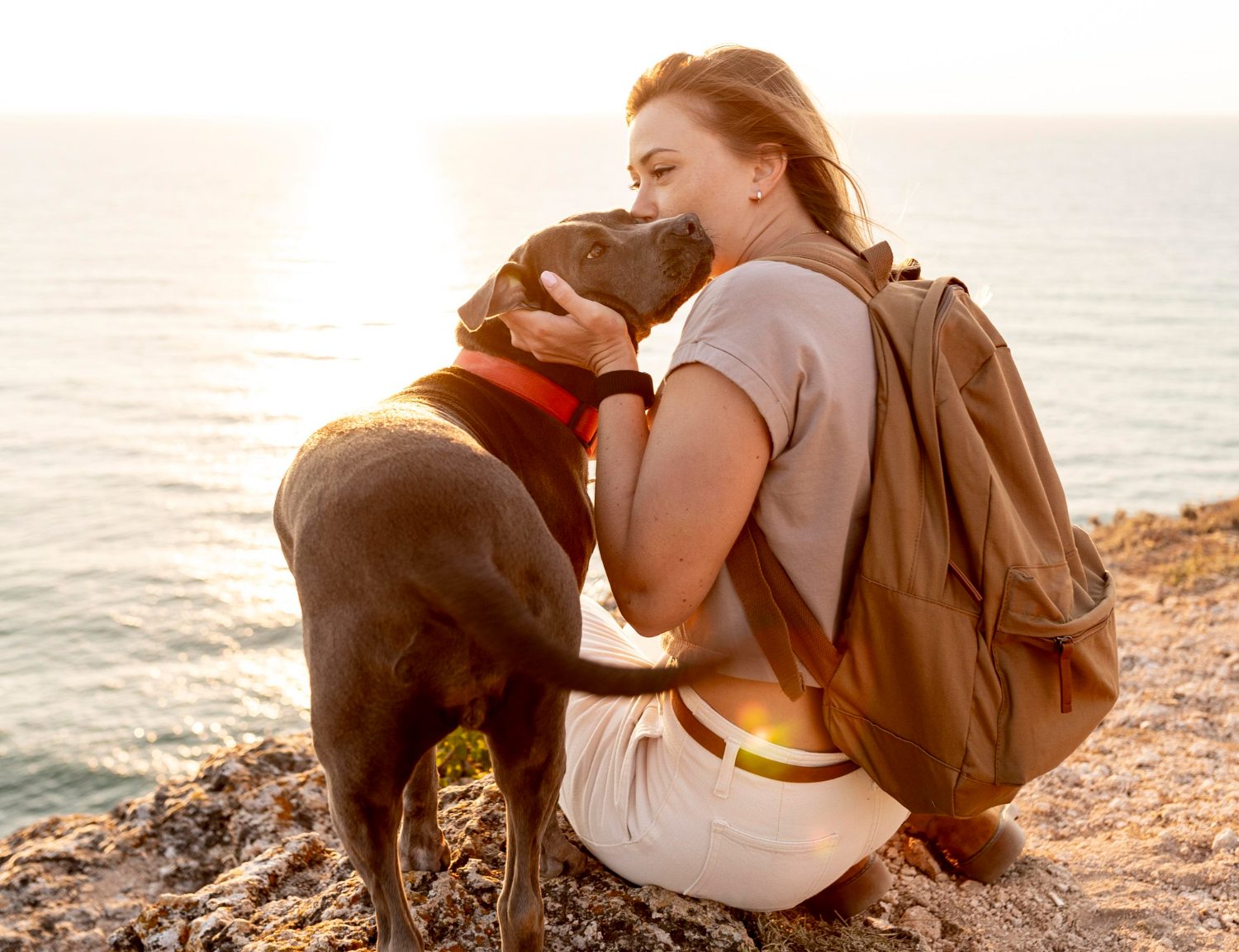 Pet-Friendly Destinations