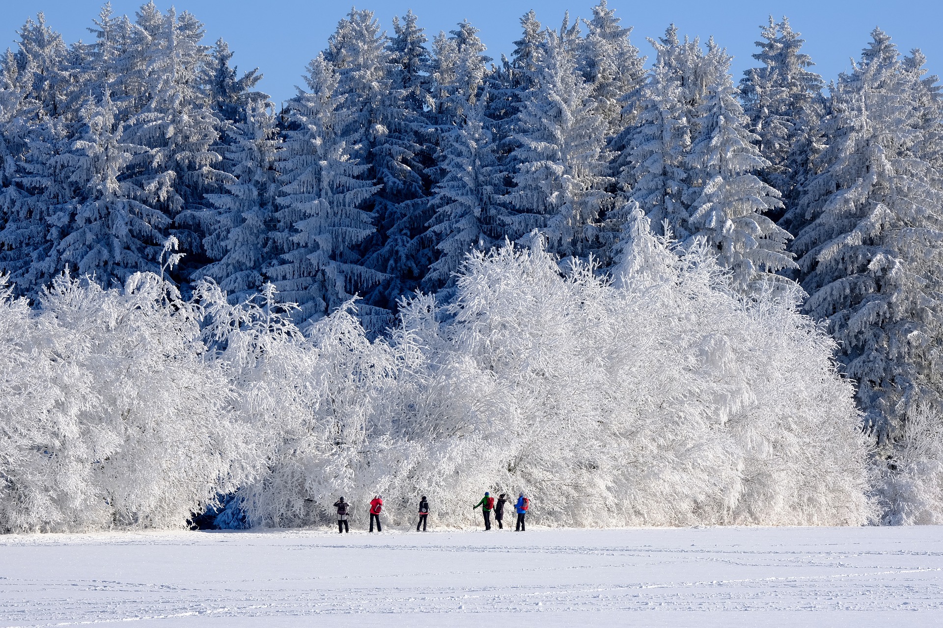 Winter Travel 