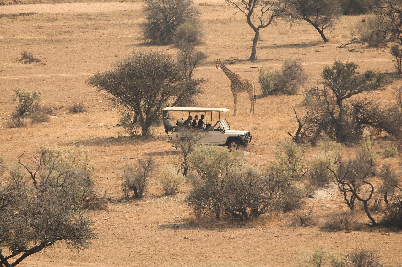 luxury African safaris