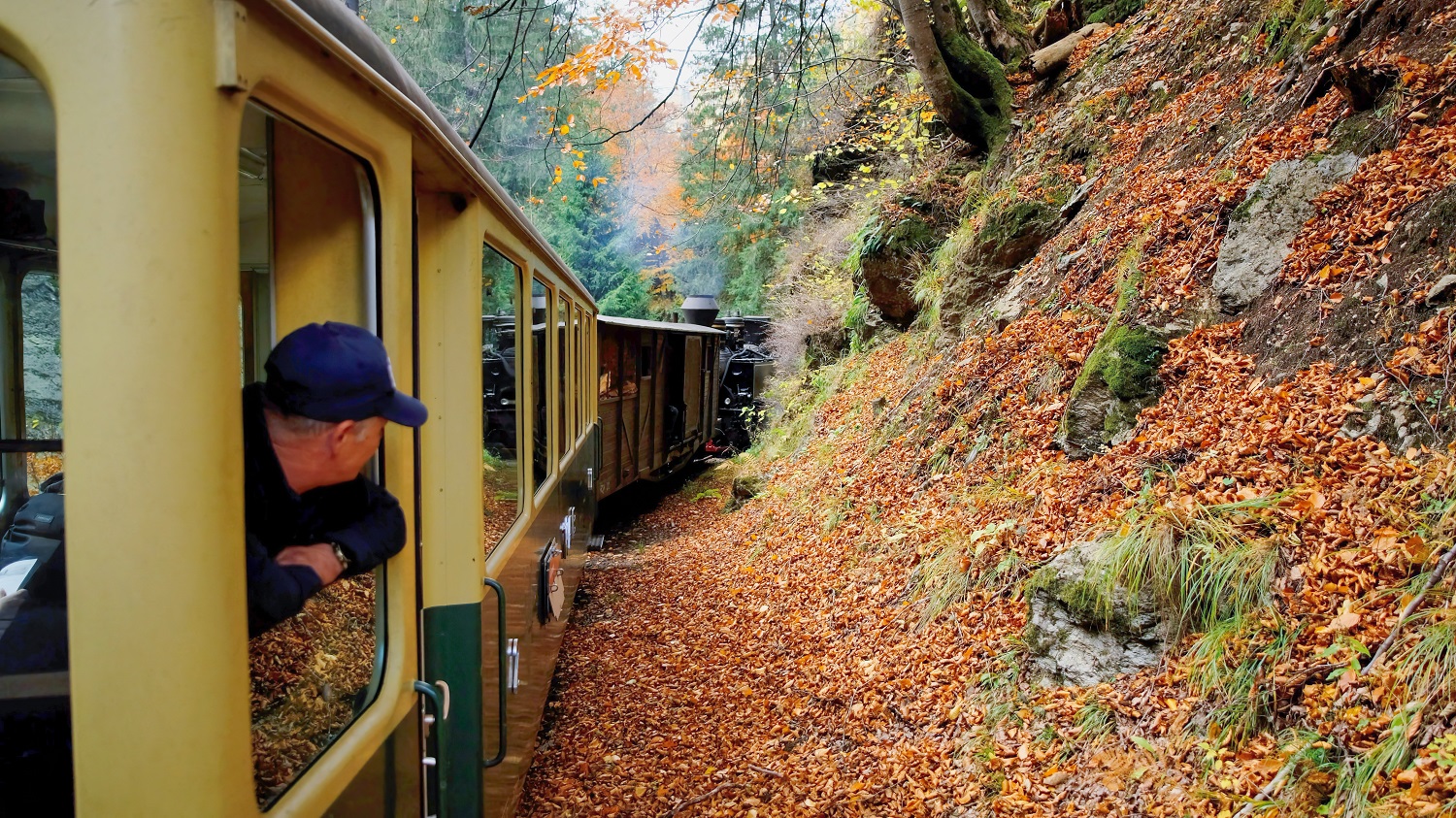 Train Travel 