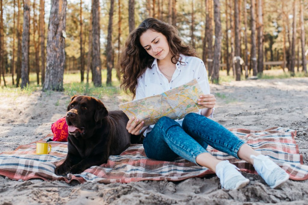 Traveling with Pets